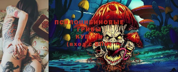 mdpv Снежинск