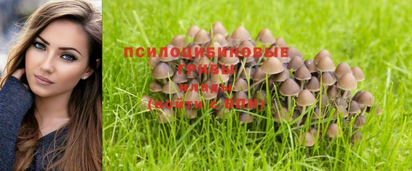 MDMA Горняк