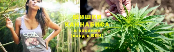 сатива Володарск